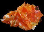 Bright Orange Wulfenite Cluster - Rowley Mine, AZ #49324-1